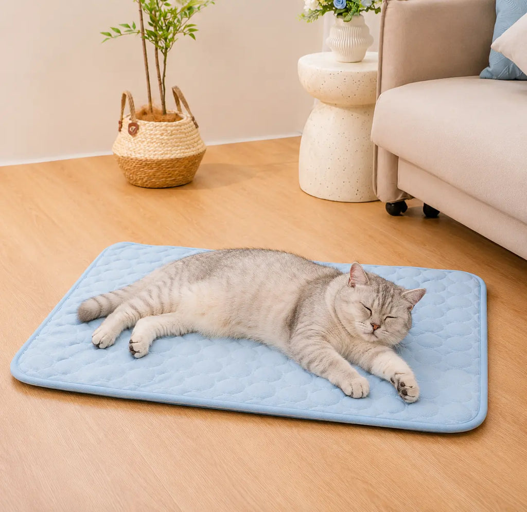 Summer Cooling Pet Mat – Ice Silk Bed for Dogs & Cats Pet Bloom Studio