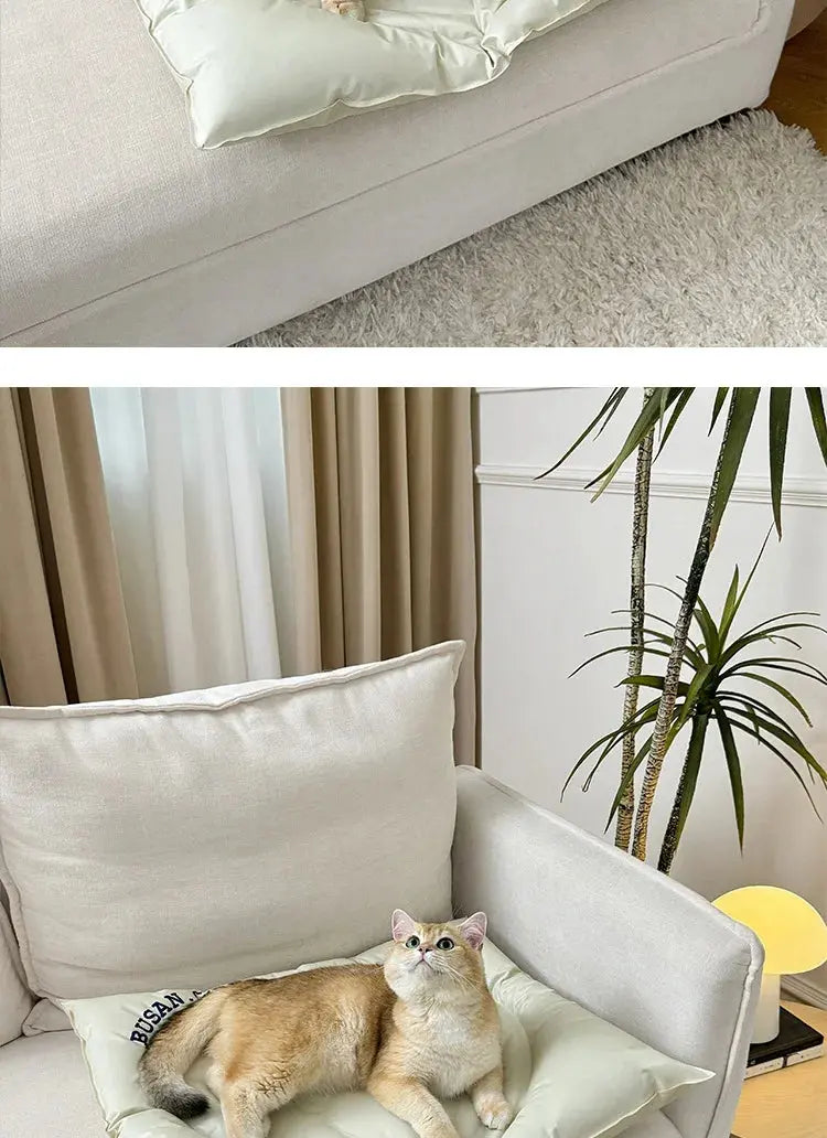 BloomHeart™ Cooling Pet Mat – Heart-Shaped Summer Bed for Cats & Small Dogs Pet Bloom Studio