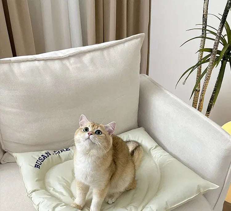 BloomHeart™ Cooling Pet Mat – Heart-Shaped Summer Bed for Cats & Small Dogs Pet Bloom Studio